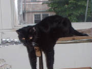 DSCF0071JPG.JPG
